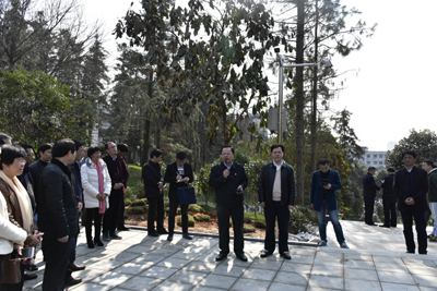 我市召开市直机关拆违拆临建绿透绿现场会改后