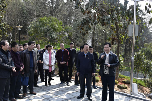 我市召开市直机关拆违拆临建绿透绿现场会