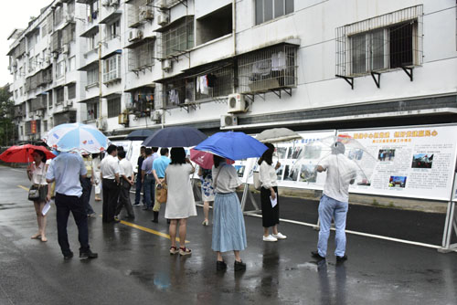 市直机关工委组织百名书记实地参观城乡环境大整治成果