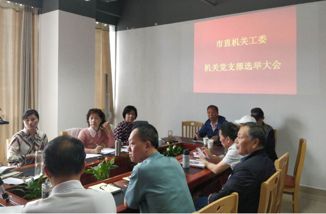 市直机关工委举行党总支成立大会