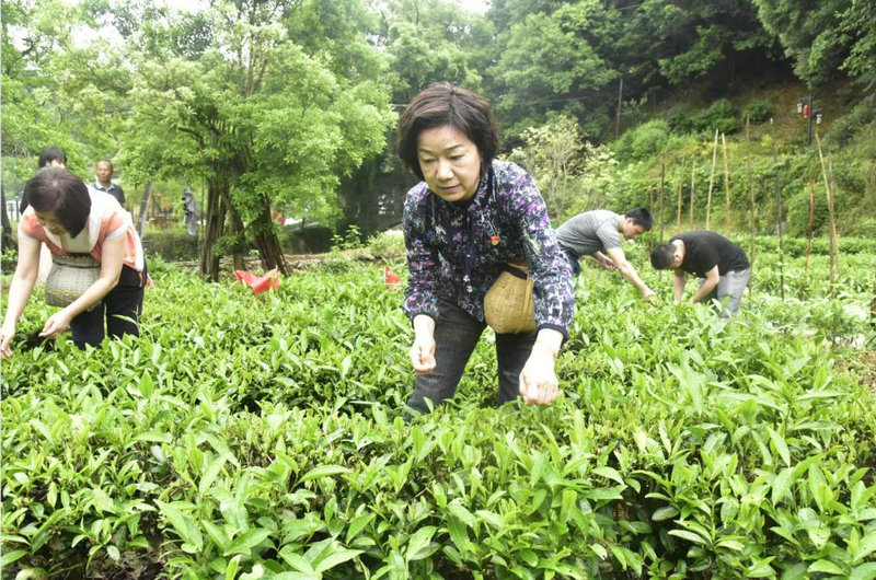 市直机关深入严台村开展“我为群众办实事”主题党日活动