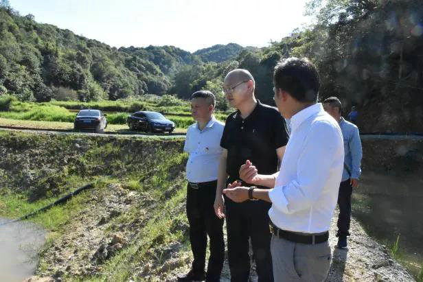吴隽赴经公桥镇调研党史学习教育与乡村振兴工作