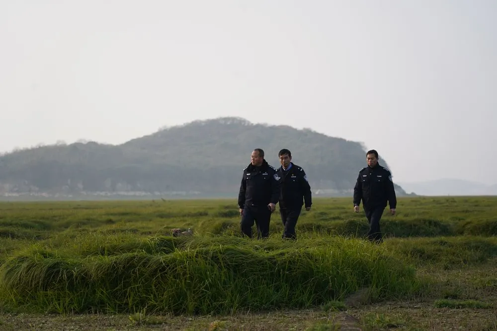 为了江豚和候鸟，