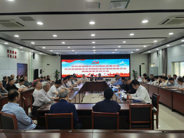 市水利局机关党委、机关纪委圆满完成换届选举工作