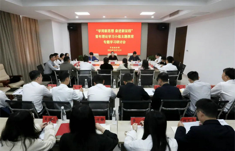 市委组织部召开青年理论学习小组“学用新思想 奋进新征程”主题教育第一期专题学习研讨会