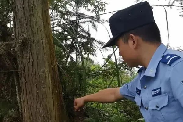 这4名同学，被点名表扬！