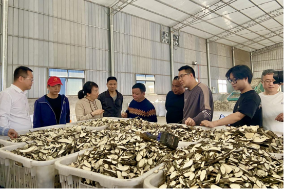 市林业局青年理论学习小组赴乐平市开展调研交流活动