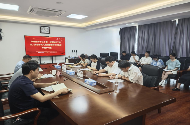市商务局召开年轻干部、关键岗位干部深入贯彻中央八项规定精神学习教育专题学习会