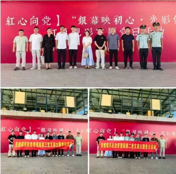 市应急管理局组织党员干部参加