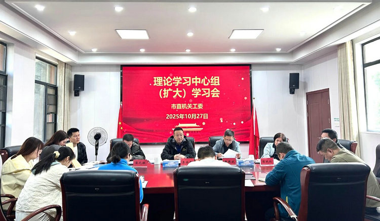 市直机关工委召开工委（扩大）会传达学习贯彻党的二十届四中全会精