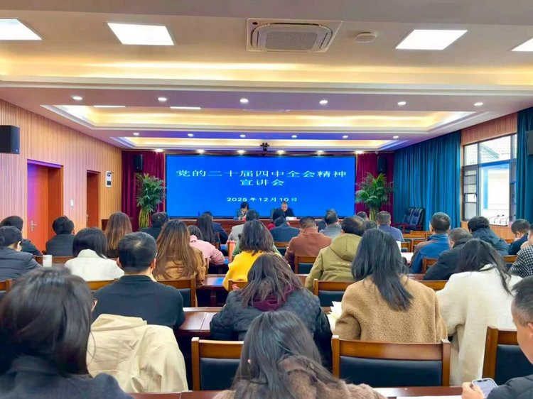 省审计厅党组成员、总审计师汪冰赴景德镇市宣讲党的二十届四中全会精神